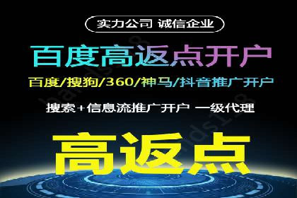 某电商平台的SEM推广实践与效果展示