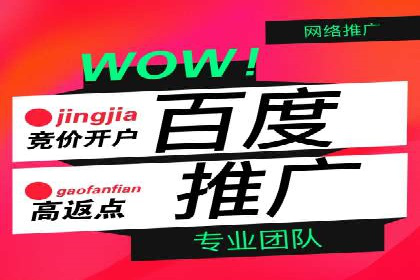 搜索引擎营销（SEM）在移动端的投放案例